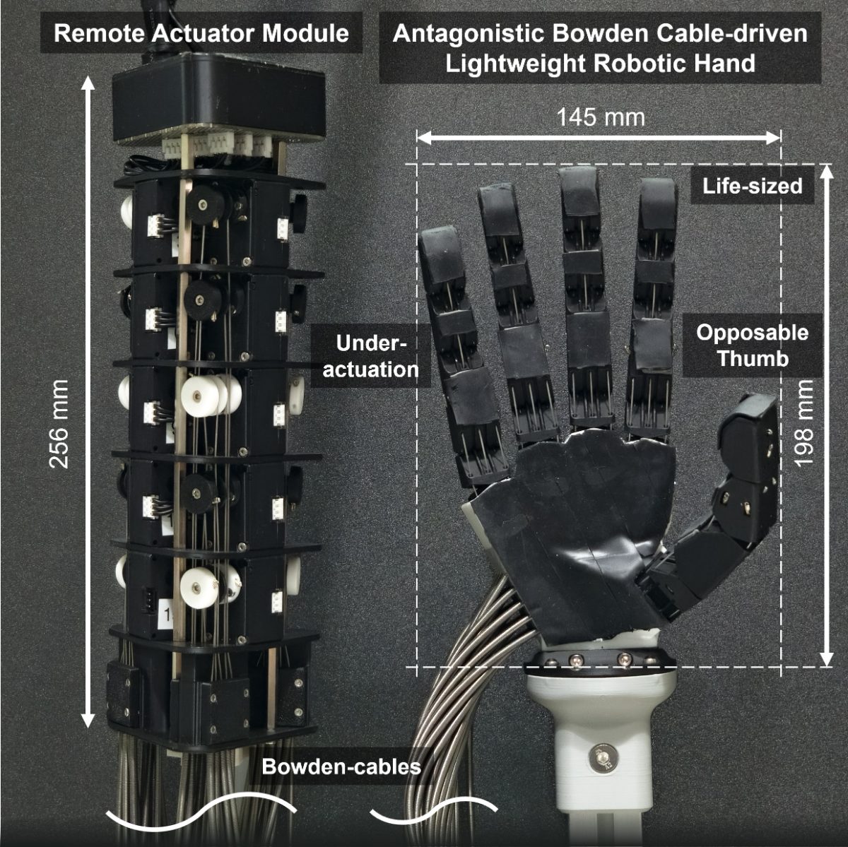 Figure 8: antagonistic Bowden-cable robotic hand